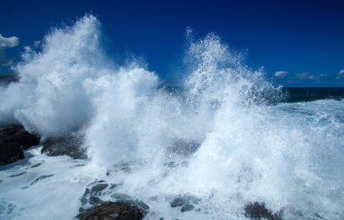 köpük sahile tarafından uçan