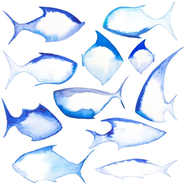 Balık farklı şekiller