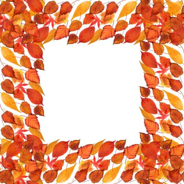 sonbahar yaprak çerçeve