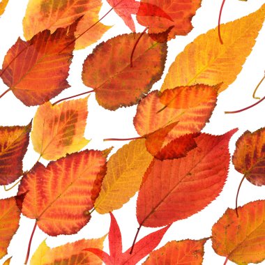 yinelenebilir sorunsuz yaprak arka plan