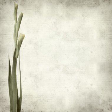 desenli eski kağıt arkaplan