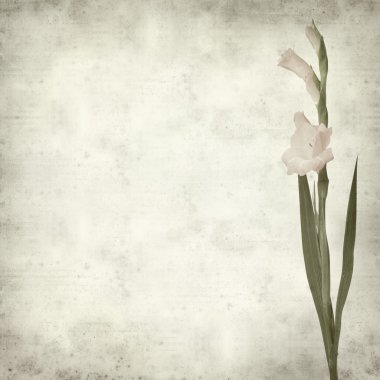 desenli eski kağıt arkaplan