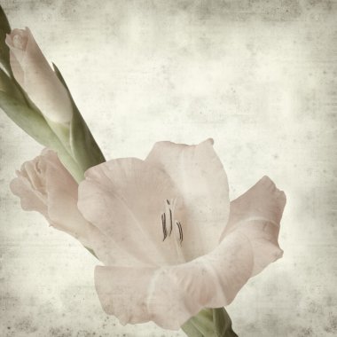 desenli eski kağıt arkaplan