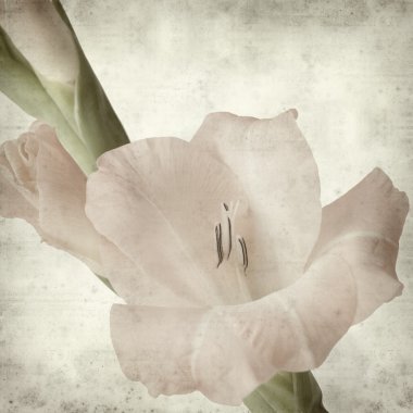 desenli eski kağıt arkaplan