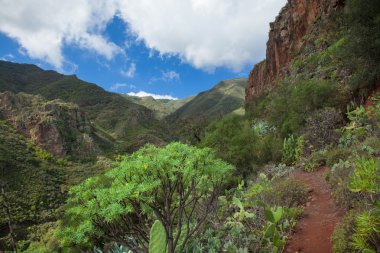 Gran Canaria, Barranco de los Cernicalos
