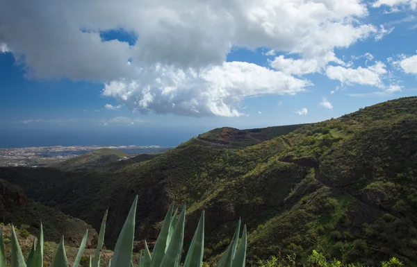 Gran Canaria, Barranco de los Cernicalos — Stock fotografie