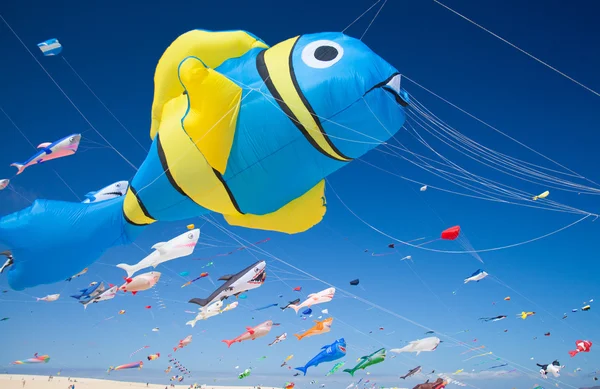 Fuerteventura Kite Festival — Stock fotografie