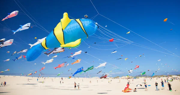 Fuerteventura Kite Festival — Stock Photo, Image