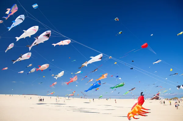 Fuerteventura Uçurtma Festivali — Stok fotoğraf