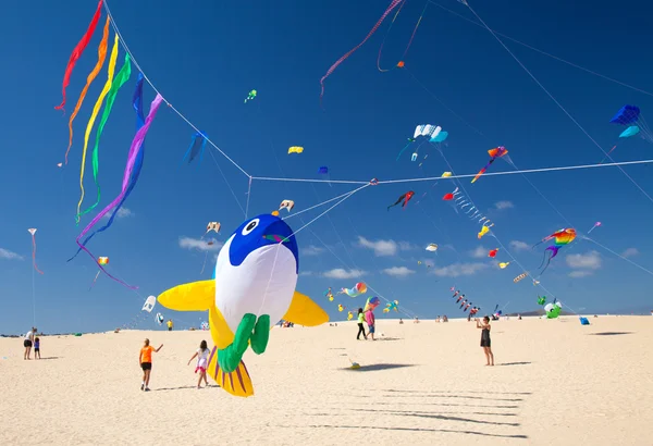 フェルテベントゥラ島凧祭り — ストック写真