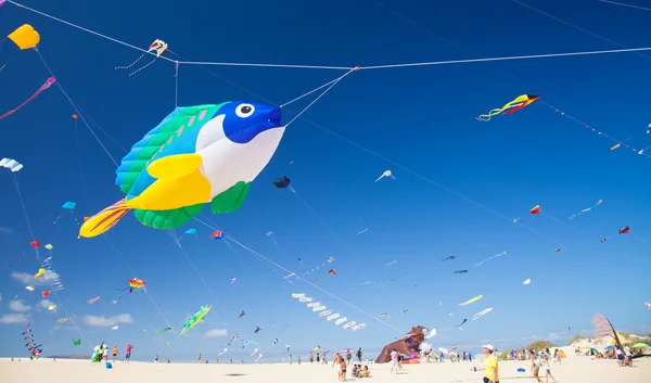 Fuerteventura Kite Fesztivál — Stock Fotó