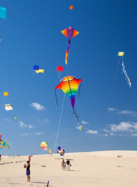 Fuerteventura Uçurtma Festivali
