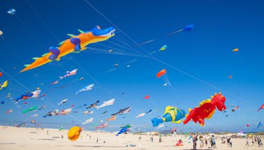 Fuerteventura Uçurtma Festivali