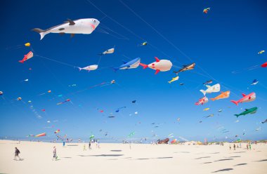 Fuerteventura Uçurtma Festivali