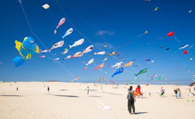 Fuerteventura Uçurtma Festivali