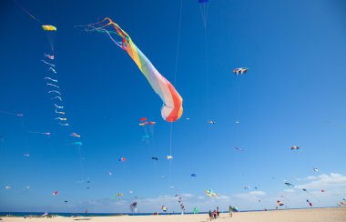 Fuerteventura Uçurtma Festivali
