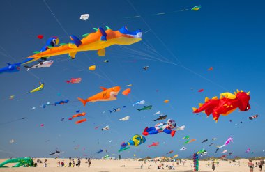 Fuerteventura Uçurtma Festivali