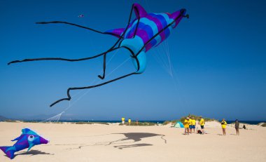 Fuerteventura Uçurtma Festivali