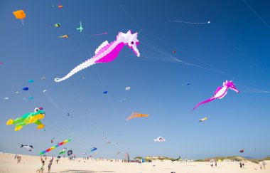 Fuerteventura Uçurtma Festivali