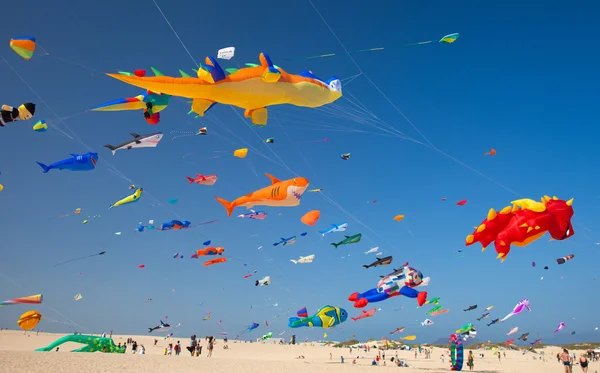 Fuerteventura Uçurtma Festivali — Stok fotoğraf