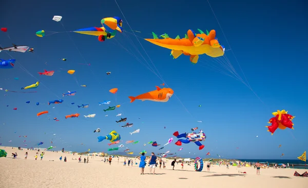 Fuerteventura Kite Fesztivál — Stock Fotó