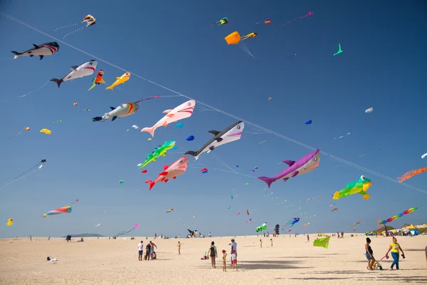 Fuerteventura Kite Festival — Stock Photo, Image