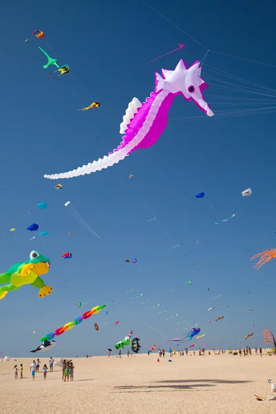 Drachenfest auf Fuerteventura — Stockfoto