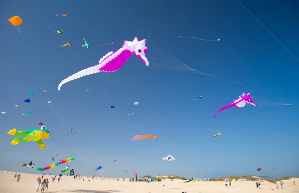 Fuerteventura Kite Fesztivál — Stock Fotó