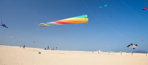 Festiwalu latawców Fuerteventura — Zdjęcie stockowe