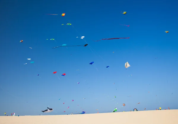 Festival degli aquiloni di Fuerteventura — Foto Stock