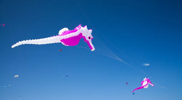 Fuerteventura Kite Fesztivál — Stock Fotó