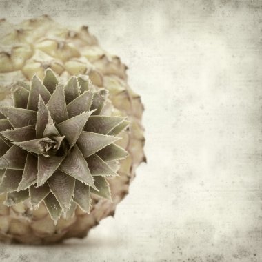 desenli eski kağıt arkaplan  