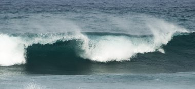 Okyanus dalgaları breaking