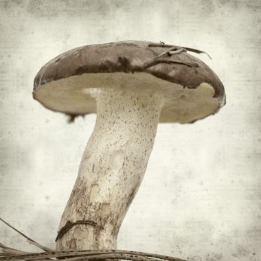 desenli eski kağıt arkaplan  