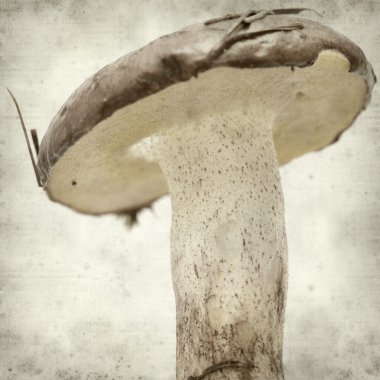 desenli eski kağıt arkaplan  