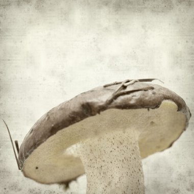 desenli eski kağıt arkaplan  