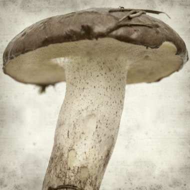 desenli eski kağıt arkaplan  