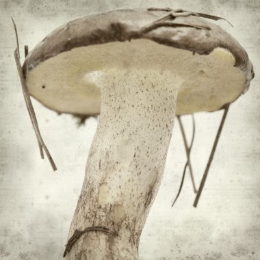 desenli eski kağıt arkaplan  