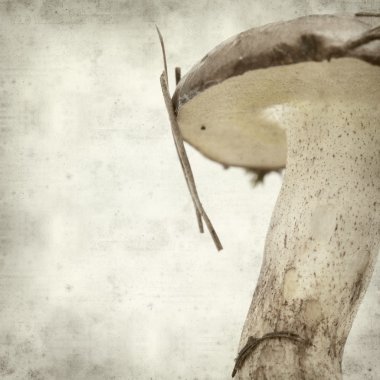 desenli eski kağıt arkaplan  