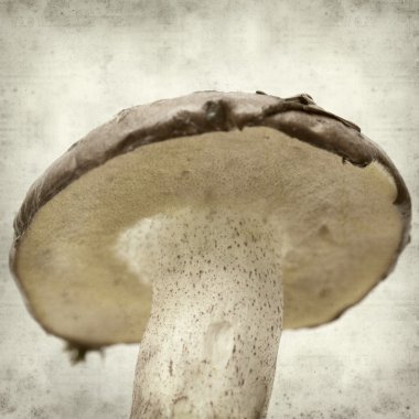 desenli eski kağıt arkaplan  