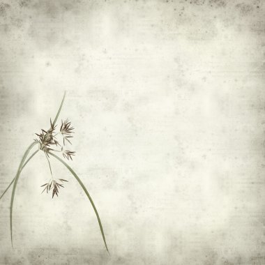 desenli eski kağıt arkaplan  