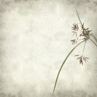 desenli eski kağıt arkaplan  