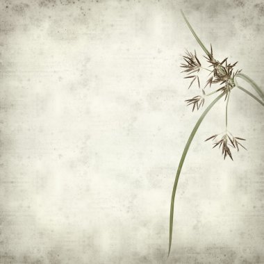 desenli eski kağıt arkaplan  