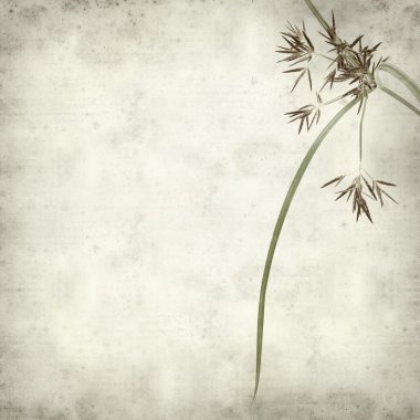 desenli eski kağıt arkaplan  