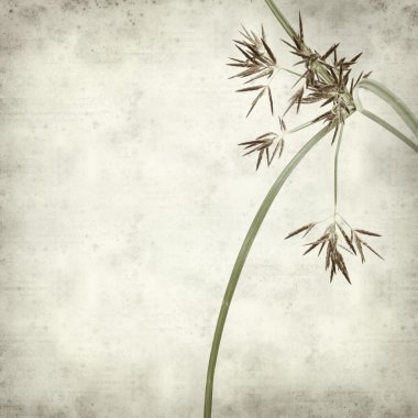 desenli eski kağıt arkaplan  