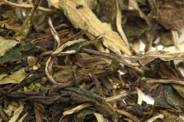 White tea  Pai Mu Tan leaves — Stock Photo, Image