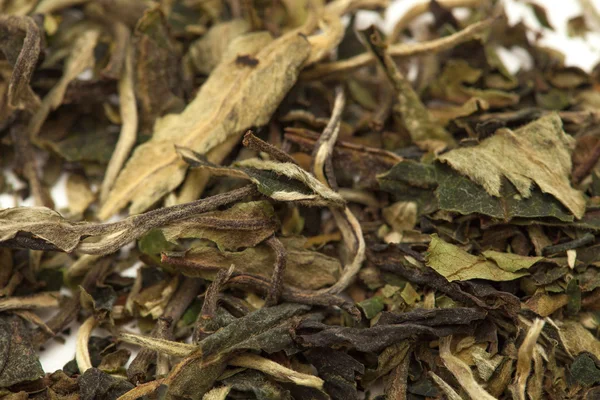 White tea  Pai Mu Tan leaves — Stock Photo, Image