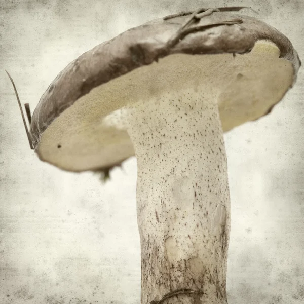 desenli eski kağıt arkaplan  