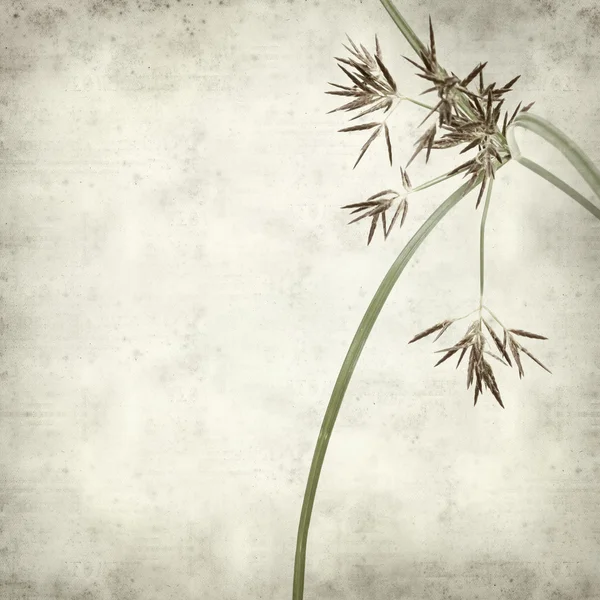 desenli eski kağıt arkaplan  