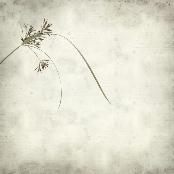 desenli eski kağıt arkaplan  